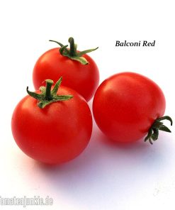 Balconi Red
