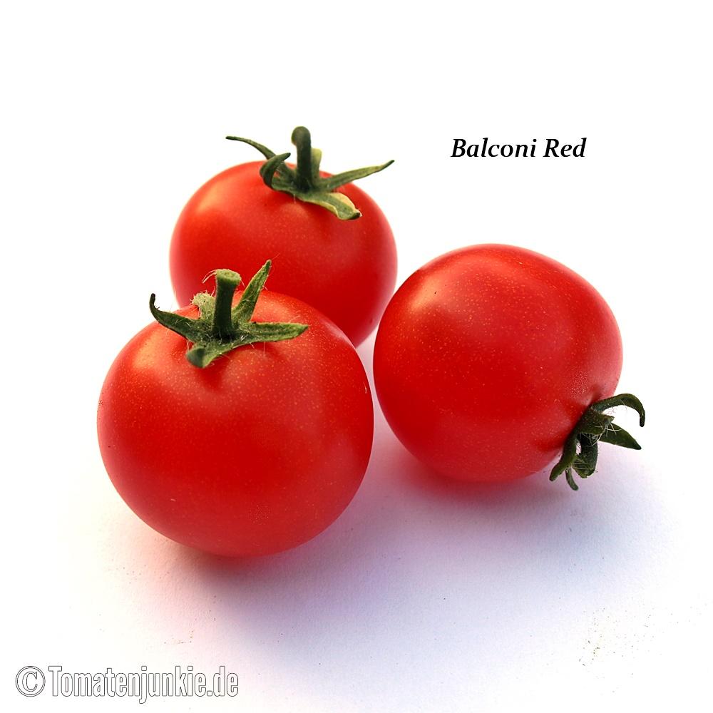 Balconi Red - Image 2