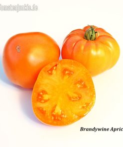 Brandywine Apricot