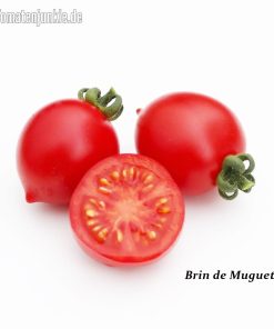 Brin de Muguet