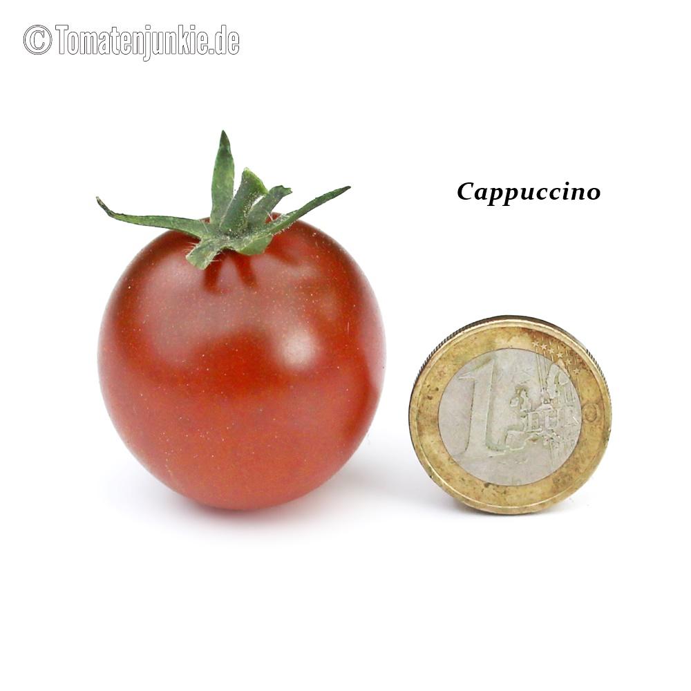 Cappuccino - Image 3