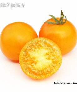 Gelbe von Thun
