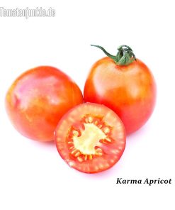 Karma Apricot