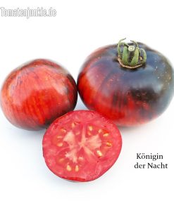 Königin der Nacht