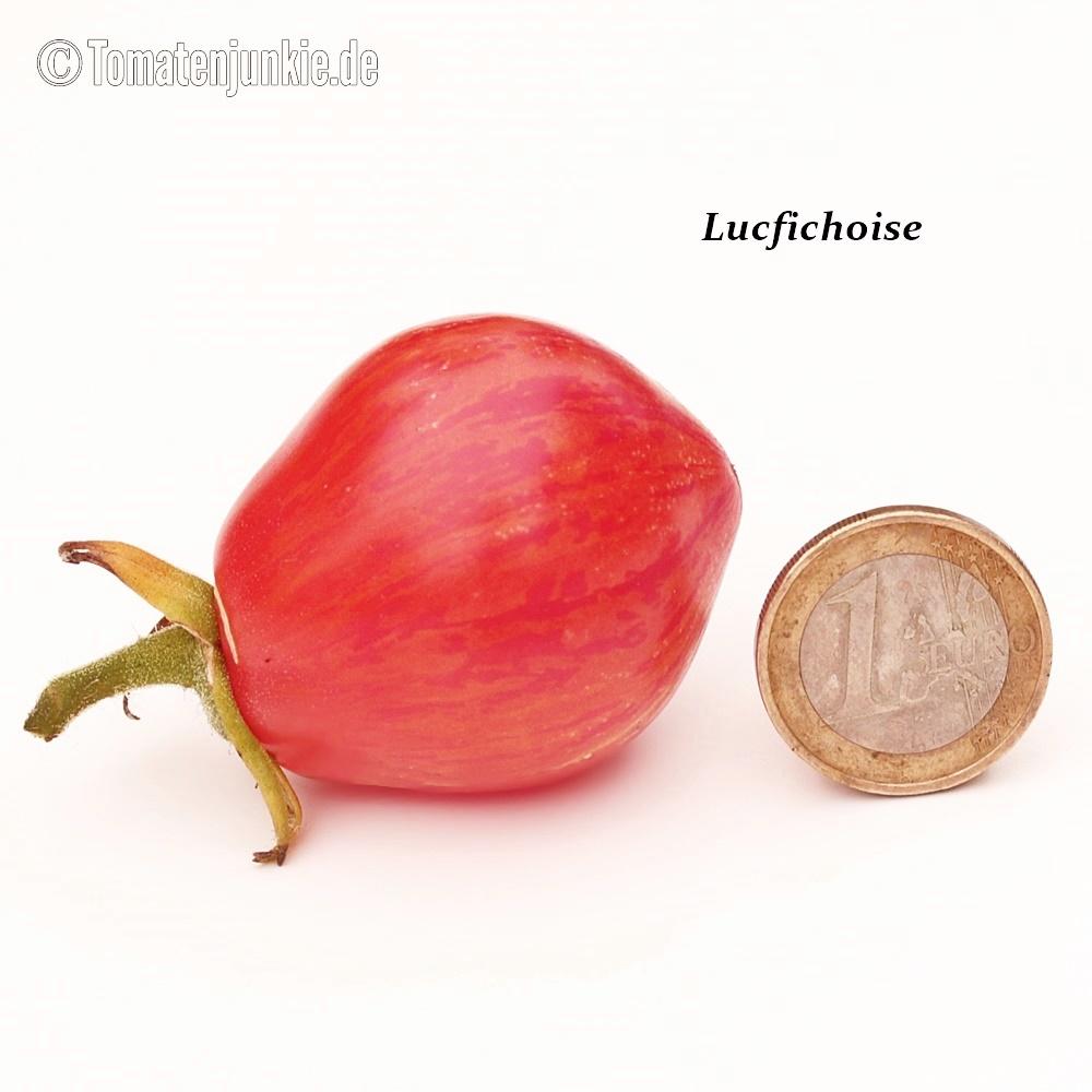 Lucfichoise - Image 3