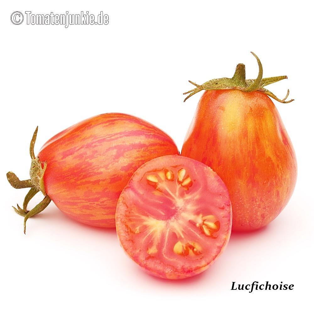 Lucfichoise - Image 2