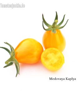 Medovaya Kaplya