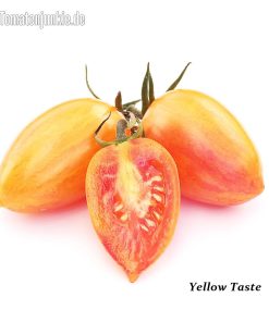 Yellow Taste